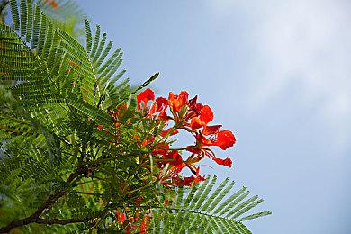 《桃太郎电铁 昭和 平成 令和也是定番》中文版发售 港服定价310港元